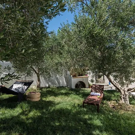 Margiani House